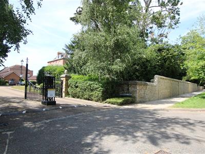 Picture 19